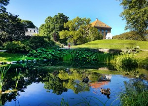 botanical-garden-oslo-by-dina-johnsen-3-WEB